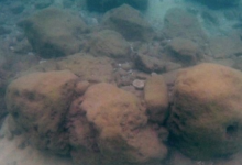 7000年前建造的石障的發(fā)現講述了海平面上升的荒誕故事