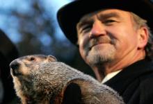 PETA希望用動(dòng)畫(huà)AI取代Punxsutawney Phil