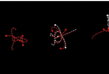 科學(xué)家發(fā)現(xiàn)時(shí)間對(duì)稱性和物理定律