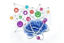 早期生活經(jīng)歷了大腦的生物學和功能成熟