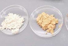 云杉膠的穩(wěn)定特性可以使用萃取技術(shù)進行調(diào)節(jié)
