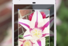 GoogleLens獲得一個獨立的應用程序