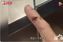 奶茶店1點點又出事:顧客喝出黑蟲