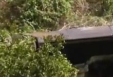 伍茲車禍因嚴重超速是什么原因導致的呢