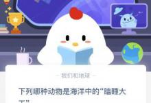 前沿手游：螞蟻莊園象群中擔任象群首領(lǐng)的一般是