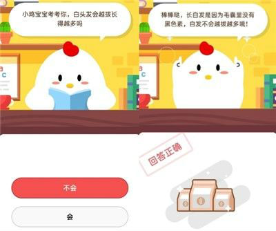 螞蟻莊園白頭發(fā)會(huì)越拔長得越多嗎答案 8月12日答案是什么
