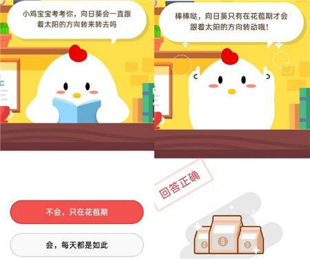 螞蟻莊園小課堂10月21日問(wèn)題答案 向日葵會(huì)一直跟著太陽(yáng)的方向轉(zhuǎn)嗎