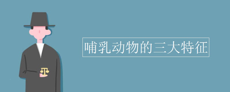 哺乳動物的三大特征