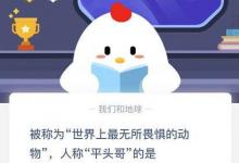 前沿手游：螞蟻莊園12月8日今日答案分享 你答對(duì)了嗎