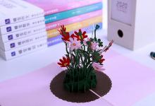 教育資訊：孔子好學(xué)的精神對(duì)你有怎樣的啟迪