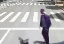 警方通報(bào)男子將女友推向公交車(chē)具體是什么情況