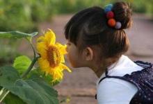 如何在幼兒園繪本教學(xué)的價值與實施策略