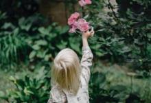 如何快速的培養(yǎng)幼兒的口語(yǔ)表達(dá)能力方法