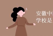 教育資訊：安徽中醫(yī)藥高等?？茖W(xué)校是幾本