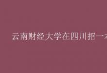 教育資訊：云南財(cái)經(jīng)大學(xué)在四川招一本嗎