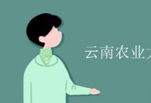 教育資訊:云南農(nóng)業(yè)大學(xué)是幾本