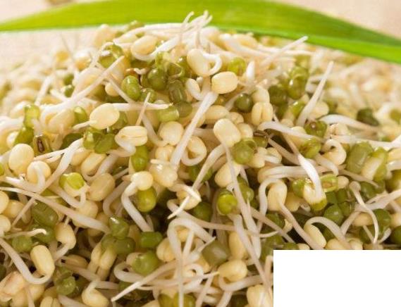 減肥食品排行榜10強(qiáng)