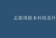 教育資訊：志愿填報(bào)本科組是什么