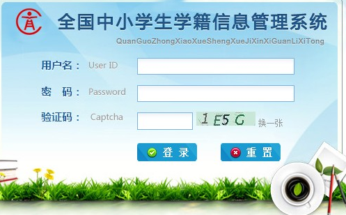 學籍號怎么查