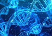 研究人員使用光打開和關閉DNA功能