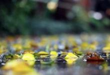 日常生活:立秋下雨有什么說(shuō)法
