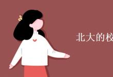 教育資訊：北大的?；帐钦l設(shè)計(jì)