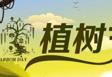 日常生活:植樹節(jié)是通過什么形式確定的