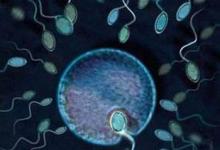 日常生活:堿性乳白體是什么東西