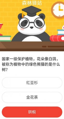 國(guó)家一級(jí)保護(hù)植物花朵像白鴿被稱為植物中的綠色熊貓的是什么樹(shù)? 森林驛站7月14日