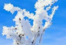 日常生活:中國(guó)最冷的地方是什么地方