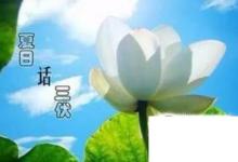 日常生活:什么是三伏天怎么計(jì)算