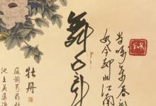 日常生活:豆蔻是指多少歲