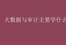 教育資訊：大數(shù)據(jù)與審計主要學(xué)什么課程
