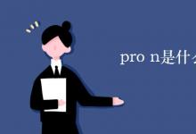 教育資訊:pro n是什么詞性的意思