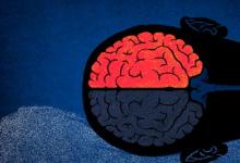 日常生活:左腦思維和右腦思維有什么區(qū)別