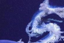 寧格魯峽谷深海任務(wù)提醒我們真正的噩夢(mèng)在哪里