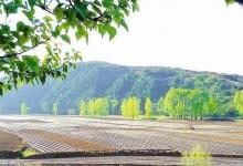 日常生活:左權(quán)縣屬于哪個市