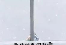 日常生活：同淋雪此生也算共白頭出自哪里
