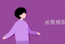 教育資訊:函數(shù)極限的性質(zhì)