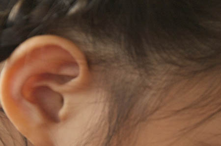 幼兒公雞簡(jiǎn)筆畫(huà)1