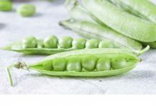 噴水鯨魚(yú)棒圖