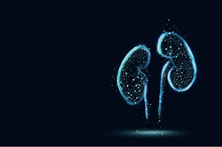 牽?；ê?jiǎn)筆畫(huà)步驟1