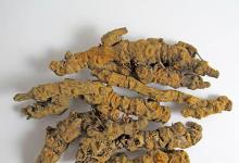 哆啦a夢簡筆畫步驟圖