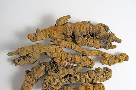 可愛鯊魚簡(jiǎn)筆畫步驟2