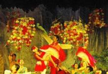 日常生活：秀山花燈主要在什么期間表演