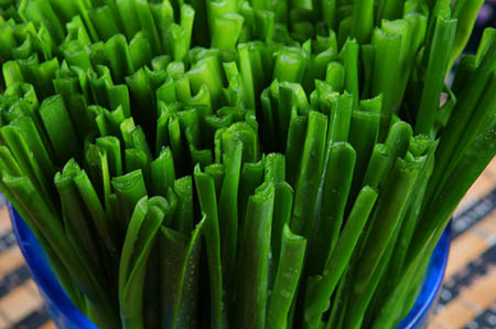 幼兒園簡(jiǎn)單蔬菜蘑菇簡(jiǎn)筆畫(huà)的畫(huà)法2