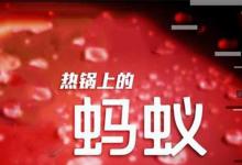 日常生活:熱鍋上的螞蟻歇后語下一句是什么