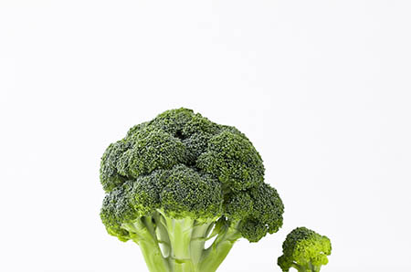 雛菊簡(jiǎn)筆畫教程2