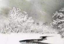 日常生活:忽如一夜春風(fēng)來(lái)千樹(shù)萬(wàn)樹(shù)梨花開(kāi)是什么意思