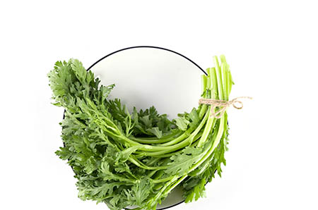 卡通愛洗澡的大象簡筆畫5